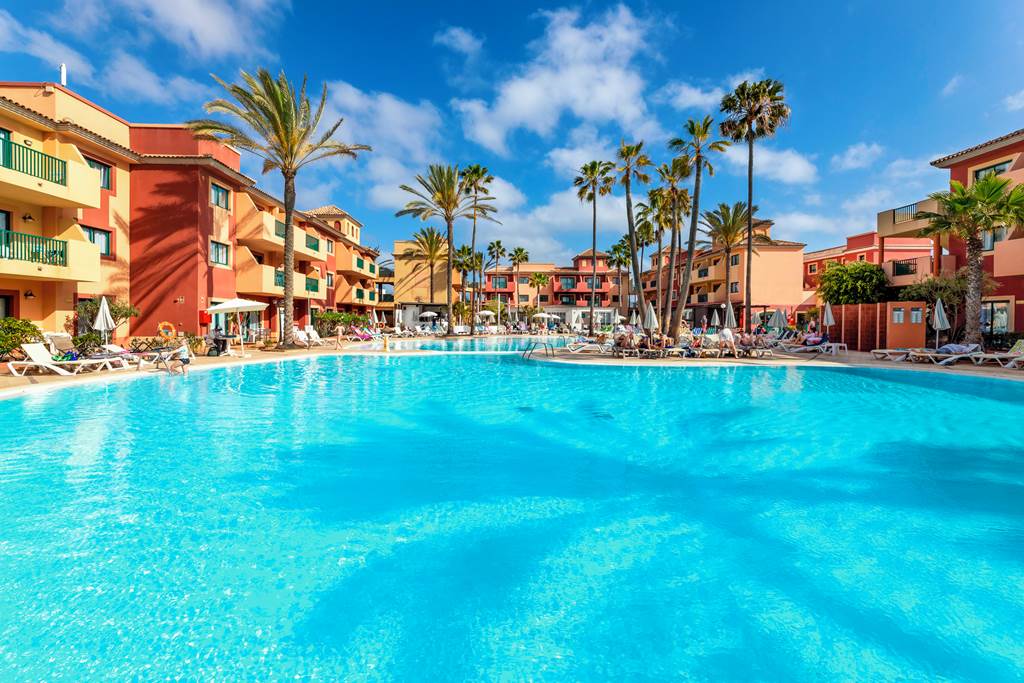 O7 Aloe Corralejo